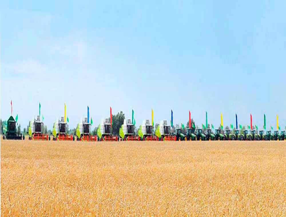 More than 1 million tons of Turkmen wheat harvested